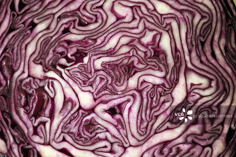 红卷心菜小路图片素材