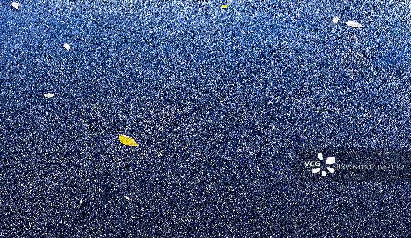 湿沥青路上散落的几片黄色秋叶图片素材