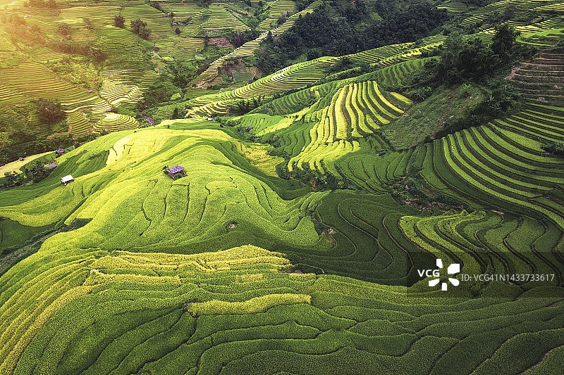 越南木 Cang Chai 梯田水稻田图案，层层叠叠，色彩斑斓图片素材