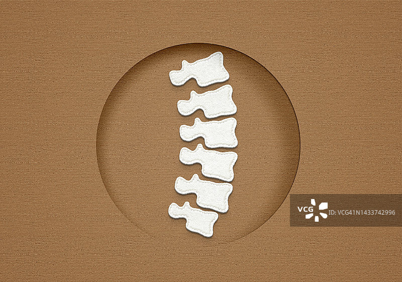 由毛毡制成的脊椎概念图.棕色毛毡背景图片素材