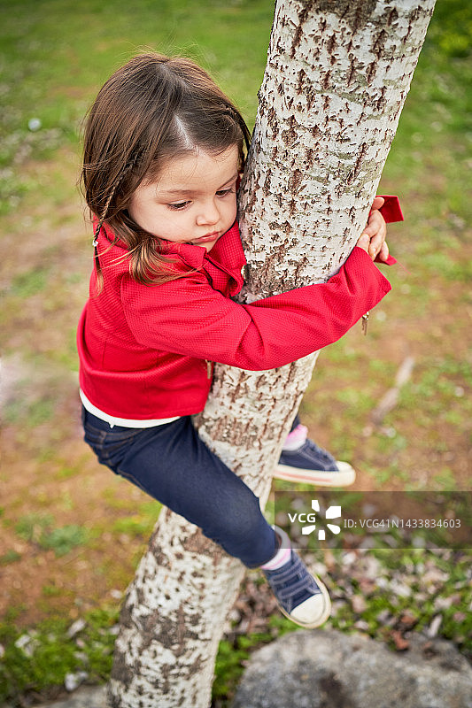 户外公园里拥抱树木并向上攀爬的小女孩图片素材