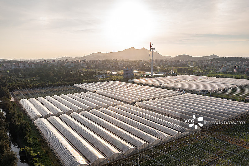 农业温室图片素材