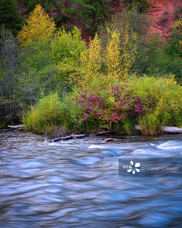 秋色与碧水图片素材