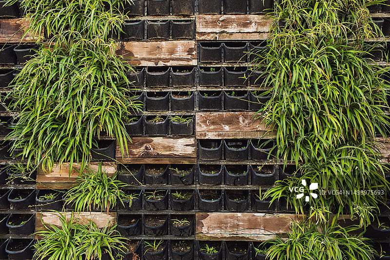 种植盆栽的木墙：专业园艺和农业图片素材