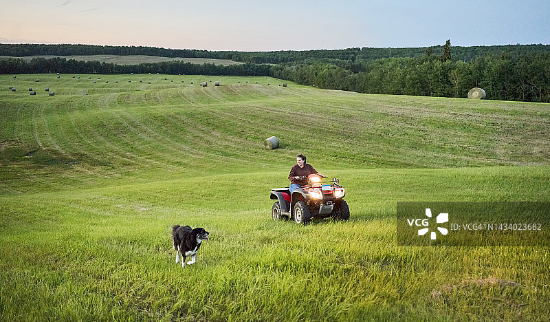 女人骑着四轮摩托车，小狗在田野上奔跑图片素材