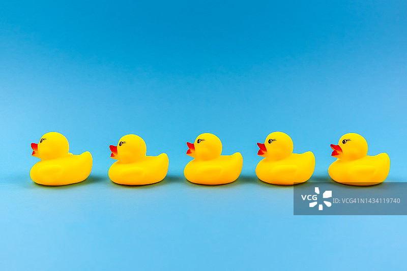 蓝色背景上的一排橡胶鸭图片素材