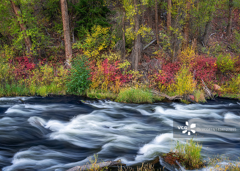 弗莱 pan 河沿岸的秋景图片素材