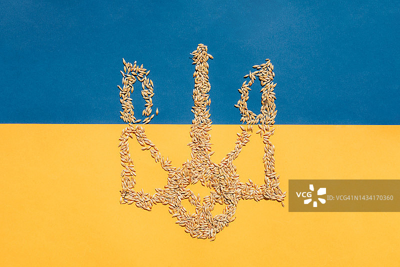 乌克兰国旗上的谷物国徽：玉米，小麦，危机，饥荒和全球危机威胁图片素材