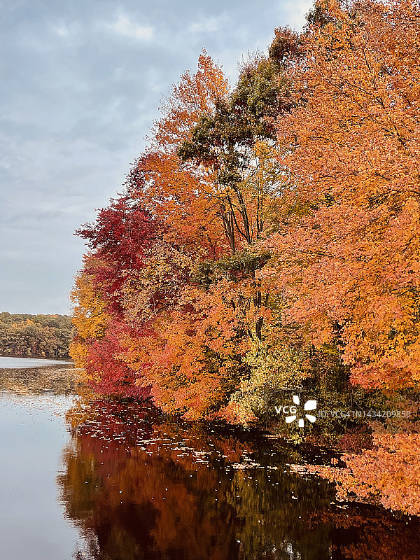 10月灰色天空和秋叶颜色图片素材