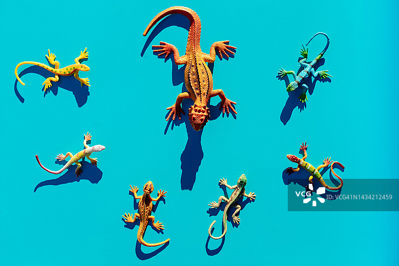 蓝色背景下大小不一的一群塑料蜥蜴玩具图片素材