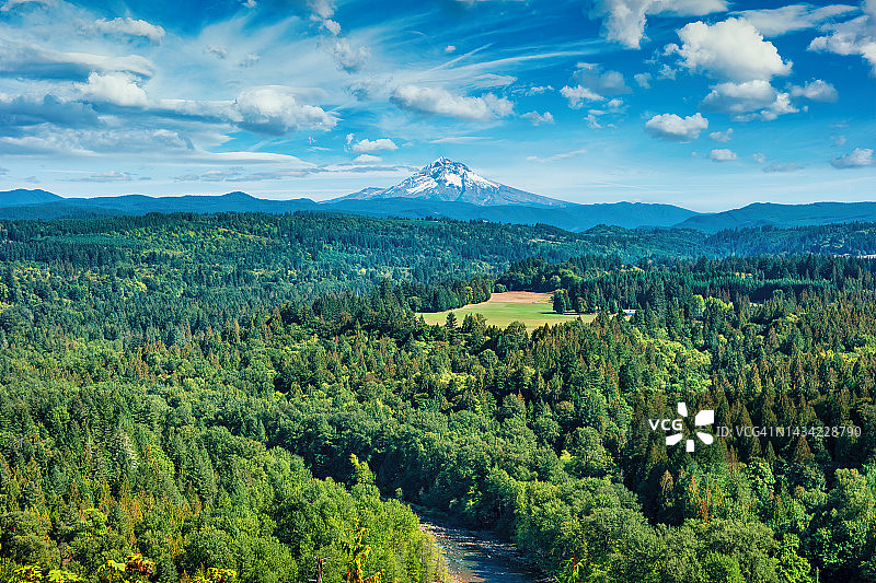 美国俄勒冈州胡德山森林图片素材