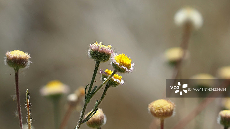 混合搭配图片素材