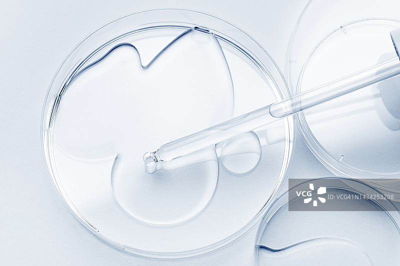 玻璃移液器在培养皿中滴入透明液体，用于实验室研究。无菌化学玻璃器皿用于医学测试特写图片素材