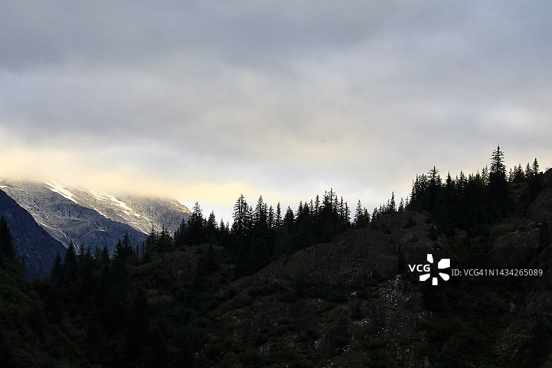 雲層下的樹線剪影图片素材