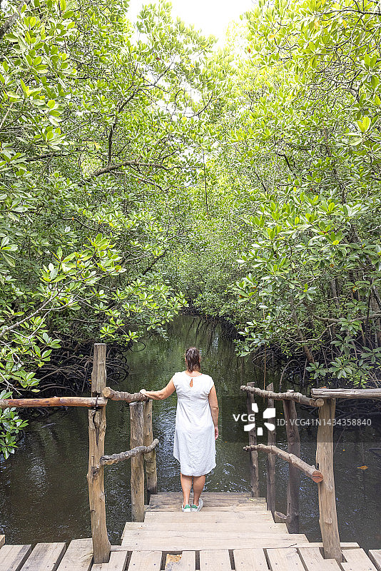 阳光明媚的一天，在坦桑尼亚桑给巴尔红树林中行走的一名游客图片素材