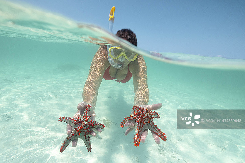 在坦桑尼亚桑给巴尔的海中，一位女孩在浮潜时展示两颗海星图片素材