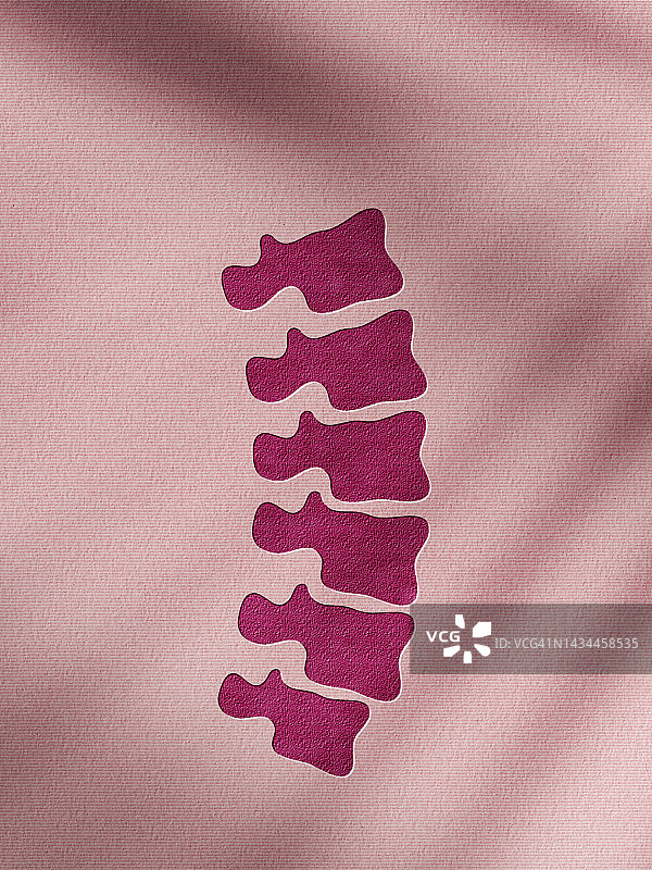 由毛毡制成的脊椎概念图.棕色毛毡背景图片素材