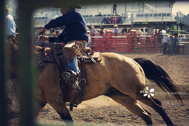 在竞技牛仔竞技表演中追逐马匹图片素材