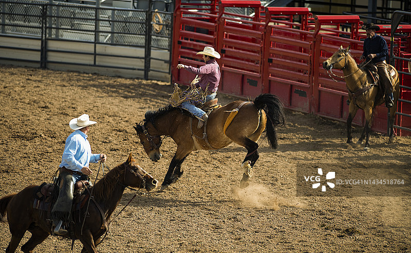 牛仔在竞技表演中骑烈马图片素材