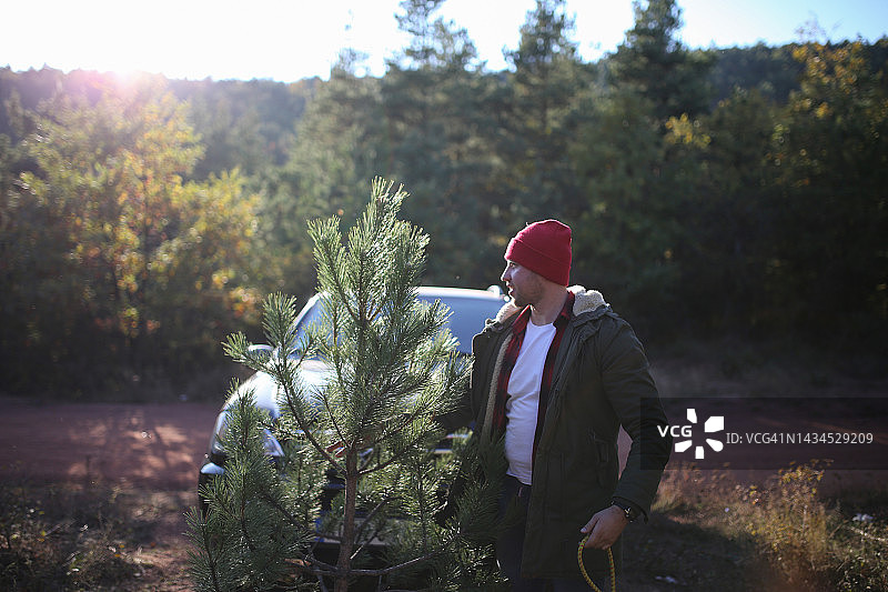 搬运树木素材照片图片素材