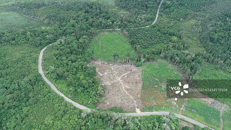 森林砍伐图片素材