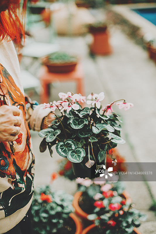 在后院园艺的老年男子肖像图片素材