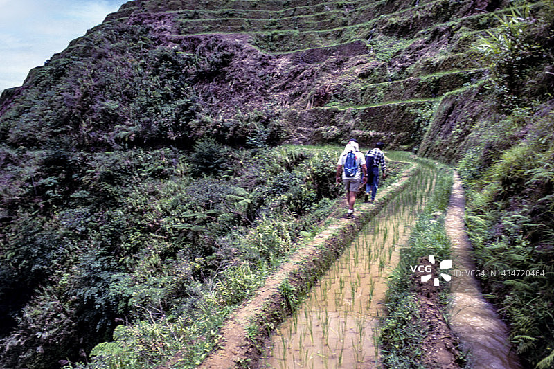 菲律宾巴纳韦梯田图片素材