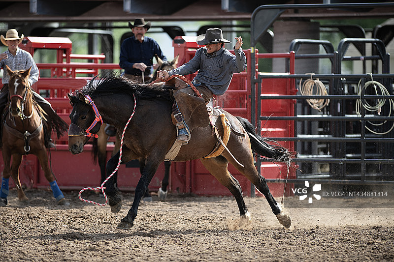牛仔在竞技场骑着烈马离开起跑点图片素材