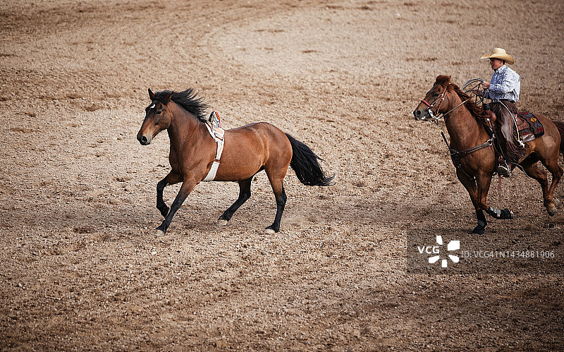 在竞技表演中追逐一匹摔落的马图片素材