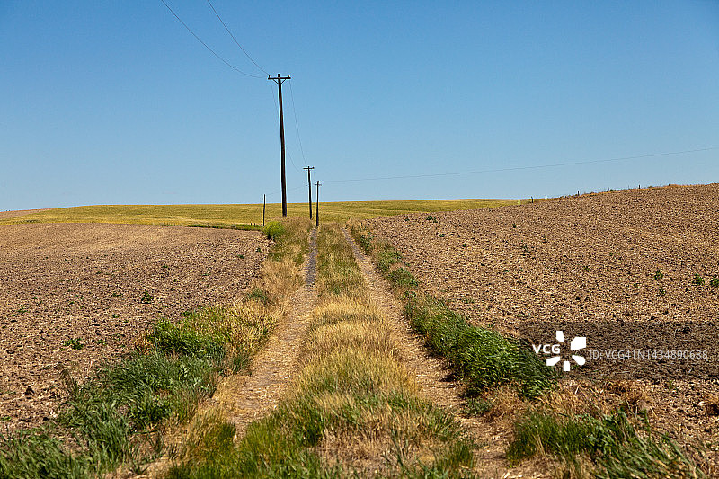 穿过农田的土路图片素材