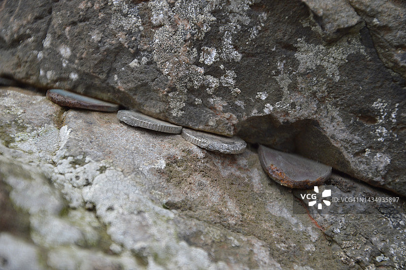 岩石中放置数百年的硬币图片素材