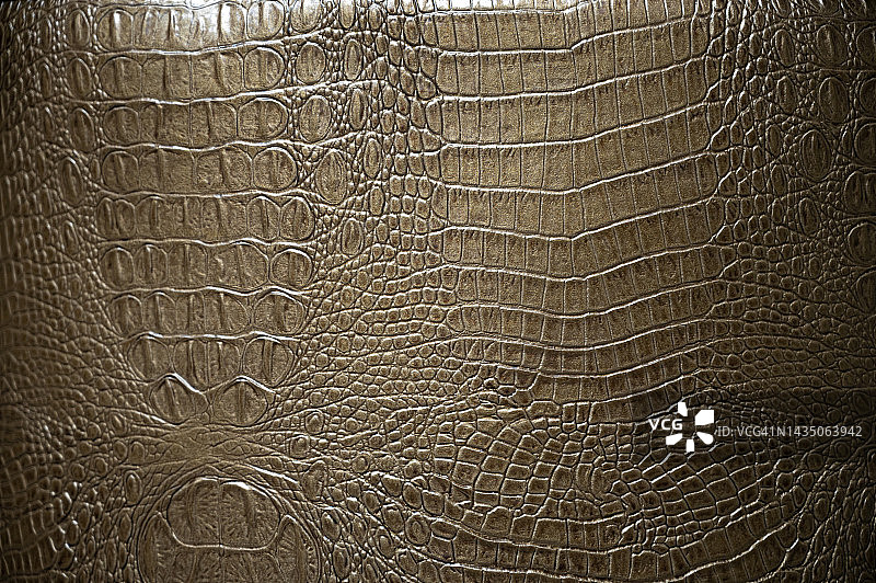 鳄鱼皮图案真皮纹理背景图片素材