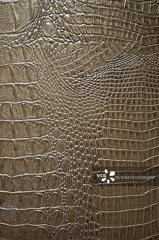 鳄鱼皮图案真皮纹理背景图片素材