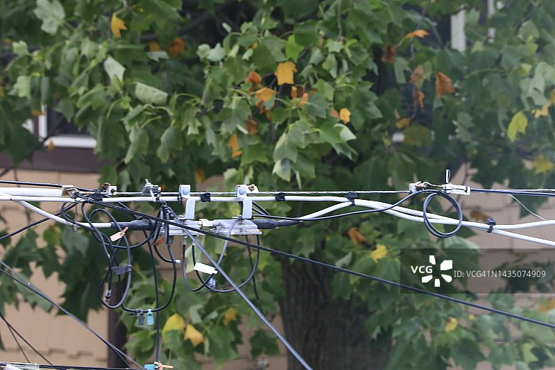 缠绕在树上的电线和数据线图片素材