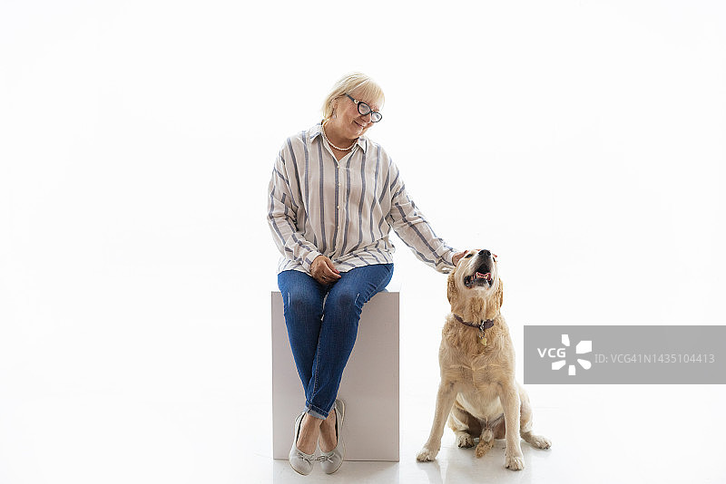 白色背景上的金毛寻回犬和年长妇女照片图片素材