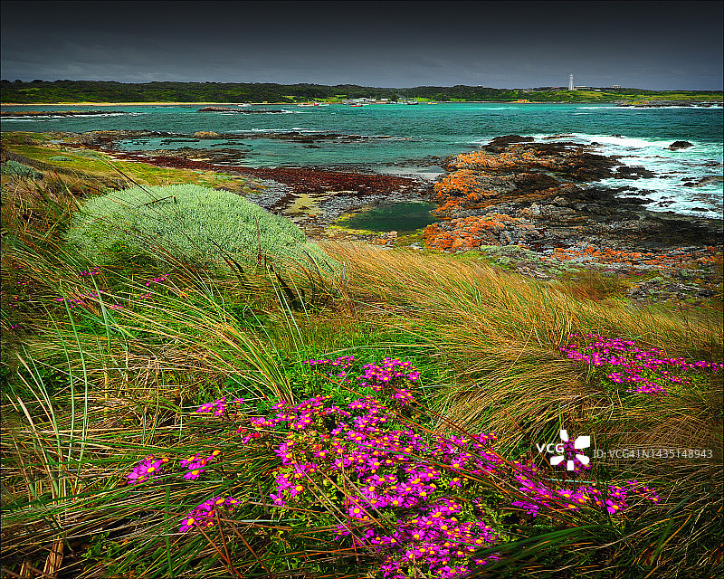 澳大利亚塔斯马尼亚州金岛崎岖偏远的海岸线图片素材