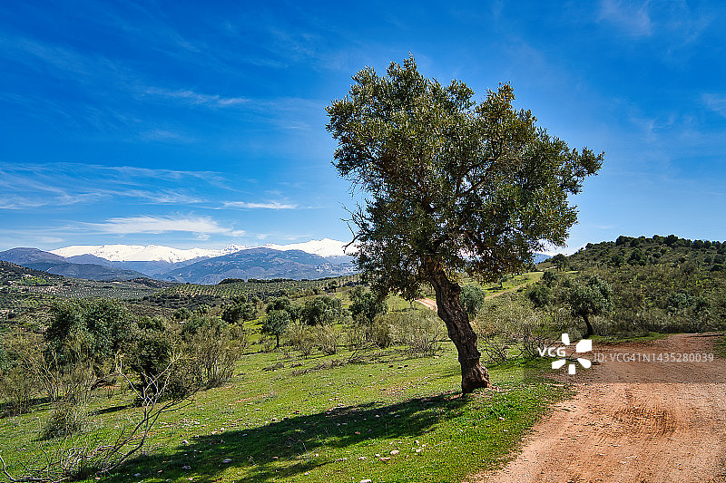 西班牙格拉纳达省内华达山脉图片素材