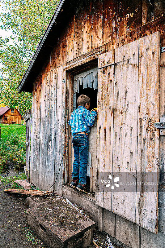 兴奋的年轻农场男孩站在科罗拉多州小镇家庭牧场的鸡舍里图片素材
