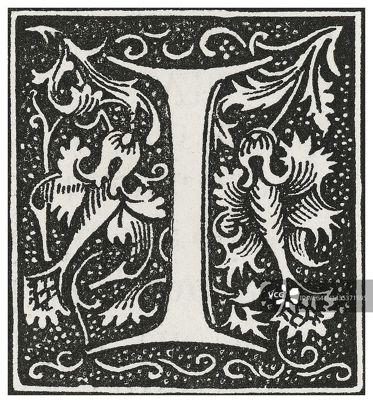 字母I装饰古董插画图片素材