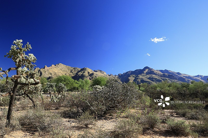萨比诺峡谷的干旱沙漠景观图片素材