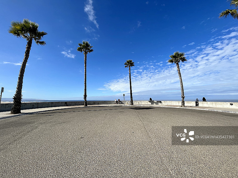 皮斯莫海滩木板路附近的棕榈树图片素材