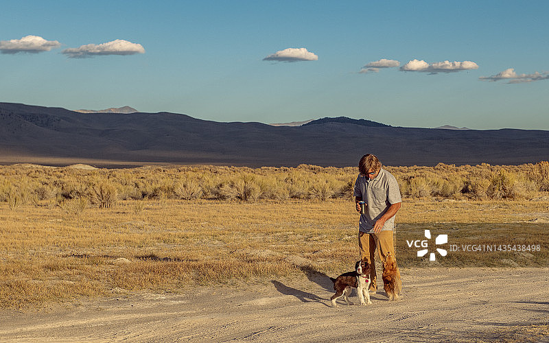 带着2条狗、啤酒、香烟在户外的男人图片素材