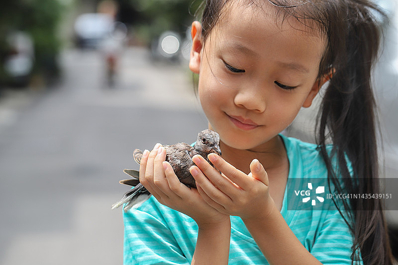 女孩与小斑鸠玩耍图片素材
