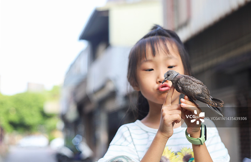 女孩与小斑鸠玩耍图片素材