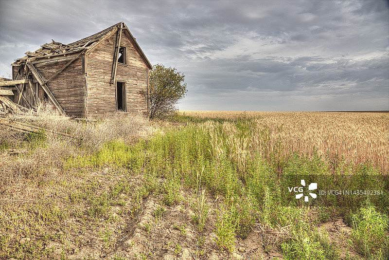 农田边缘的废弃房屋图片素材