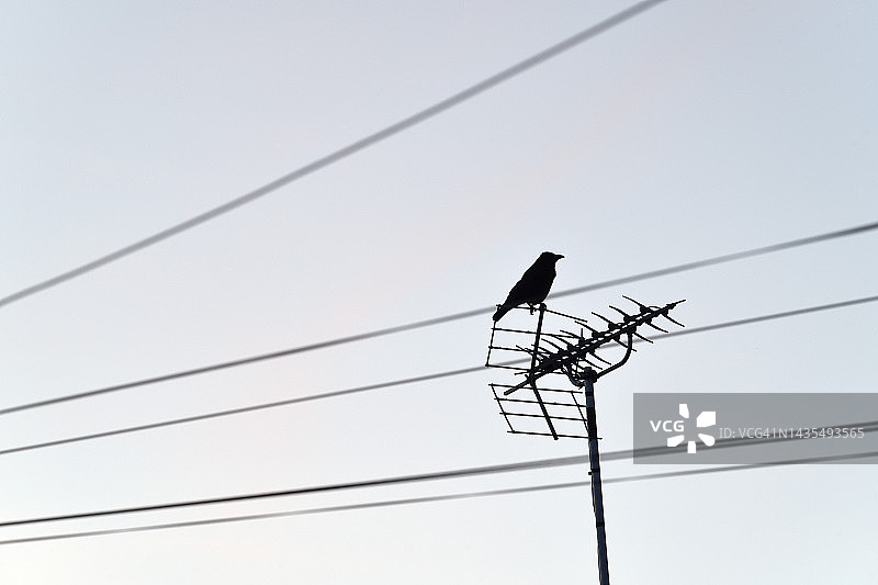 声音线图片素材