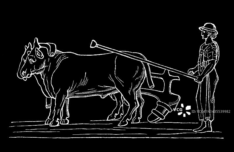 伊特鲁里亚犁的古老雕刻插图图片素材