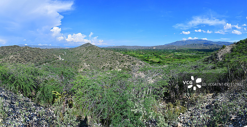 半干旱景观中的干燥森林图片素材