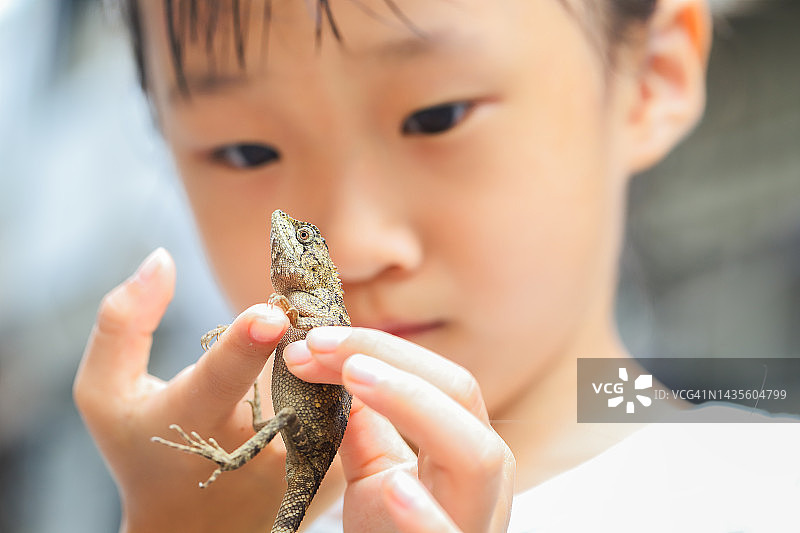 宠物爱图片素材