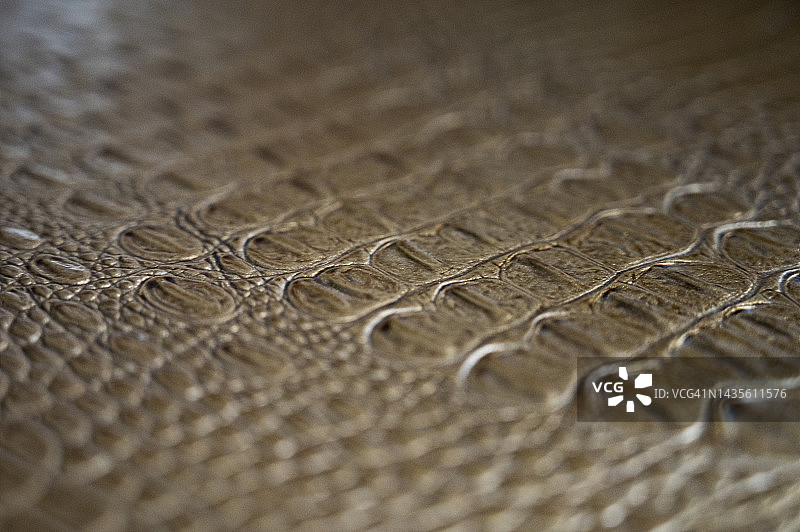 鳄鱼皮图案真皮纹理背景图片素材